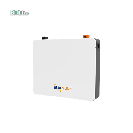 Bluesun Solar BSM48200W – Pin Lithium Treo Tường 51.2V 200Ah (10.24kWh)